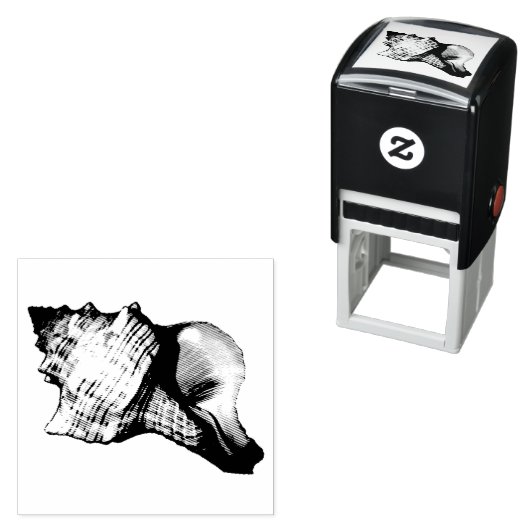  illustratie Conch Shell Zelfinktende Stempel (In situ)