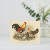 Illustratie coq et poule briefkaart (Staand voorkant)