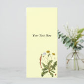  illustratie Dandelion (Staand voorkant)