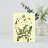  illustratie Dandelion Briefkaart (Staand voorkant)