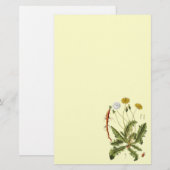 illustratie Dandelion Briefpapier (Voorkant / Achterkant)