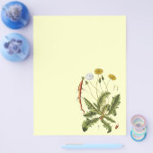  illustratie Dandelion Flyer (Enkel)