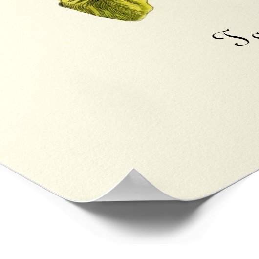 illustratie Dandelion Poster (Hoek)