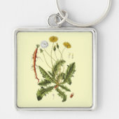  illustratie Dandelion Sleutelhanger (Voorkant)