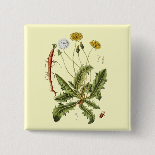  illustratie Dandelion Vierkante Button 5,1 Cm (Voorkant)