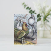 illustratie "de heer Bantam" Briefkaart (Staand voorkant)