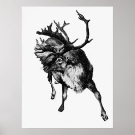  illustratie Deer Poster