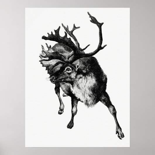illustratie Deer Poster (Voorkant)
