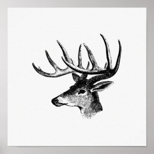 illustratie Deer Poster