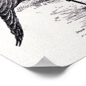 illustratie "Demoiselle Crane" Poster (Hoek)