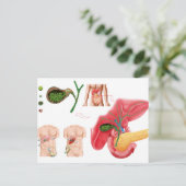 Illustratie die chromosoomopname aangeeft briefkaart (Staand voorkant)