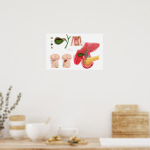 Illustratie die chromosoomopname aangeeft poster (Keuken)