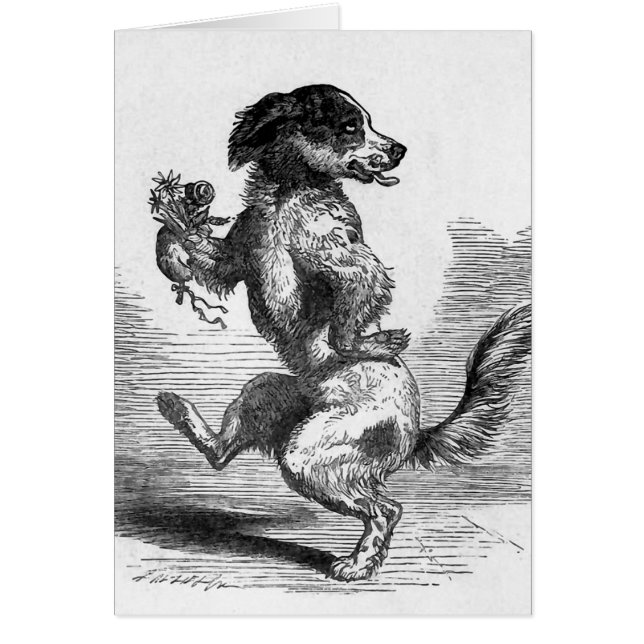  illustratie "Dog Dansa Jig" (Voorkant)