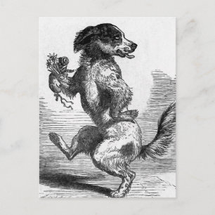  illustratie "Dog Dansa Jig" Briefkaart