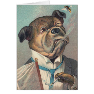 Illustratie Dog en Wasp