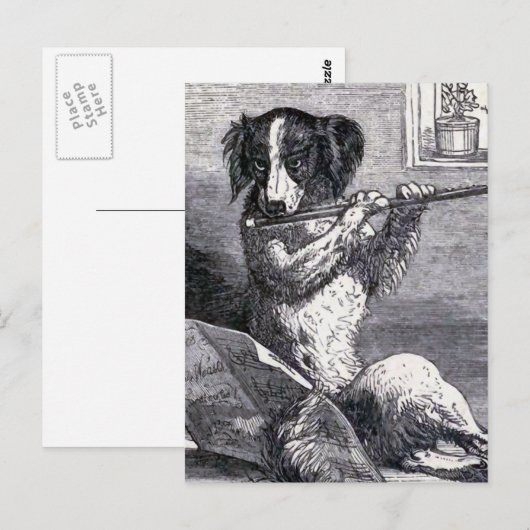  illustratie "Dog Speel the Flute" Briefkaart (Voorkant / Achterkant)