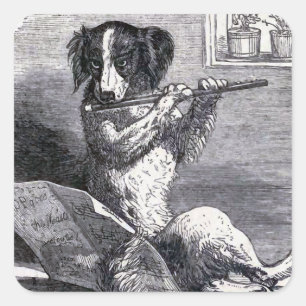  illustratie "Dog Speel the Flute" Vierkante Sticker