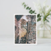  illustratie door Arthur Rackham Undine Briefkaart (Staand voorkant)