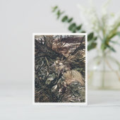  illustratie door Arthur Rackham Undine Briefkaart (Staand voorkant)