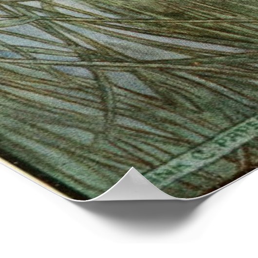  illustratie door Frank C. Pape Poster (Hoek)