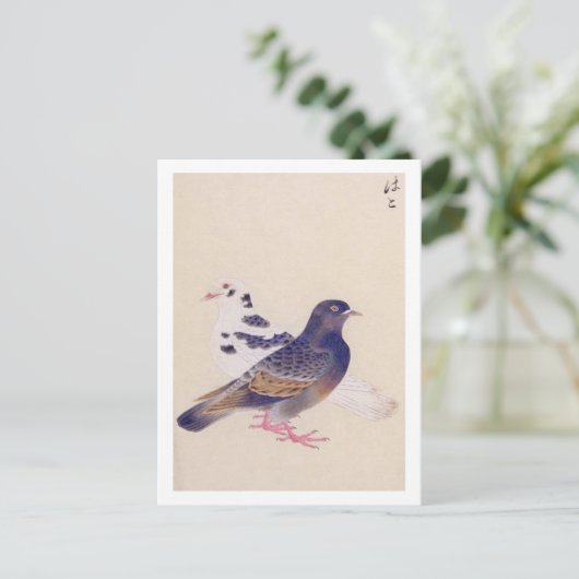 illustratie: Duif Briefkaart (Staand voorkant)