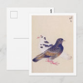 illustratie: Duif Briefkaart (Voorkant / Achterkant)