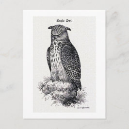 illustratie "Eagle Owl" Briefkaart