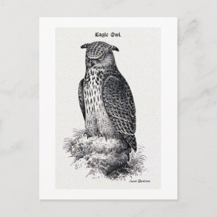  illustratie "Eagle Owl" Briefkaart