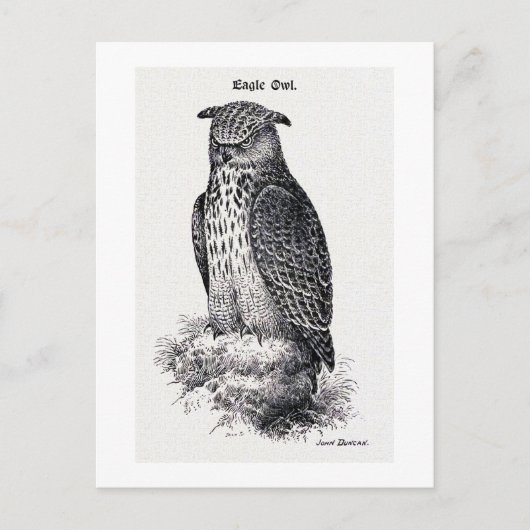 illustratie "Eagle Owl" Briefkaart (Voorkant)