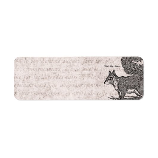 Illustratie  eekhoorn - Eekhoorns van 1800 Etiket (Voorkant)