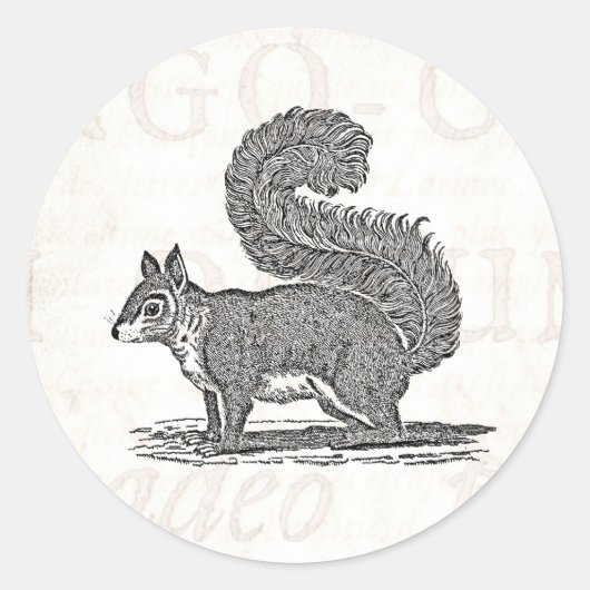 Illustratie eekhoorn - Eekhoorns van 1800 Ronde Sticker (Voorkant)