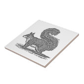 Illustratie  eekhoorn - Eekhoorns van 1800 Tegeltje (Zijkant)