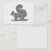 Illustratie  eekhoorn - Eekhoorns van 1800 Visitekaartje (Voorkant / Achterkant)