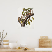 Illustratie  eekhoorn poster (Keuken)