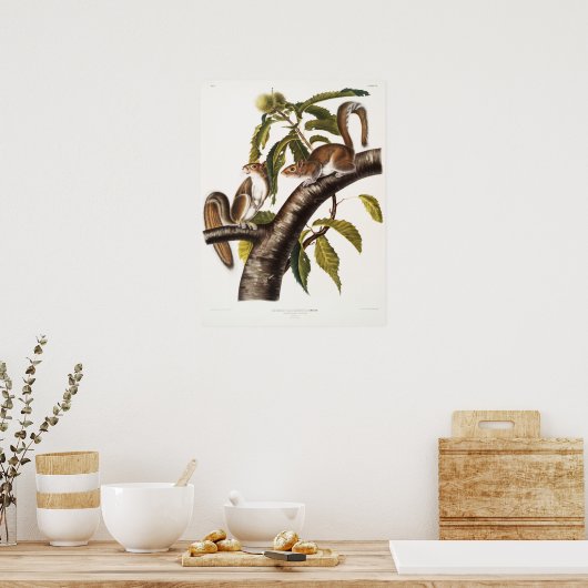 Illustratie  eekhoorn poster (Keuken)