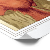 Illustratie  eekhoorn poster (Hoek)