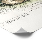 Illustratie eekhoorns poster (Hoek)