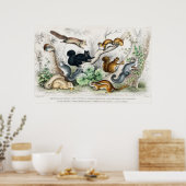Illustratie eekhoorns poster (Keuken)