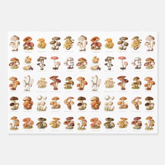 illustratie eetbare niet-eetbare paddenstoelen inpakpapier vel (Voorkant)