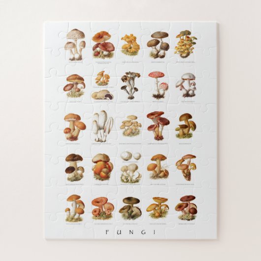  illustratie eetbare niet-eetbare paddenstoelen legpuzzel (Verticaal)
