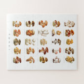  illustratie eetbare niet-eetbare paddenstoelen legpuzzel (Horizontaal)