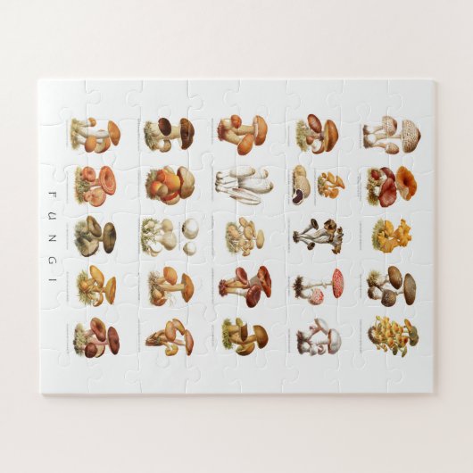 illustratie eetbare niet-eetbare paddenstoelen legpuzzel (Horizontaal)