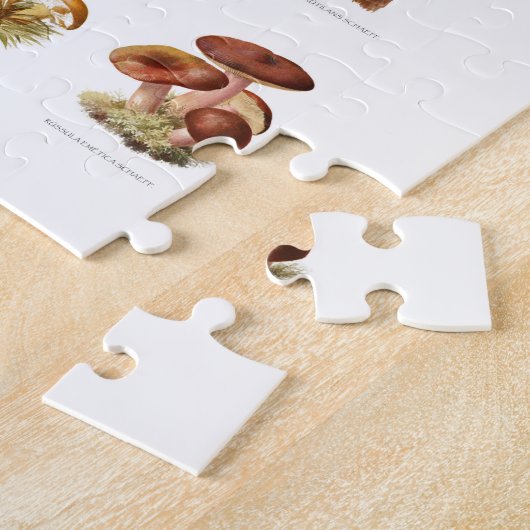 illustratie eetbare niet-eetbare paddenstoelen legpuzzel (Zijkant)