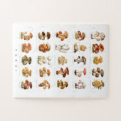 illustratie eetbare niet-eetbare paddenstoelen legpuzzel (Horizontaal)