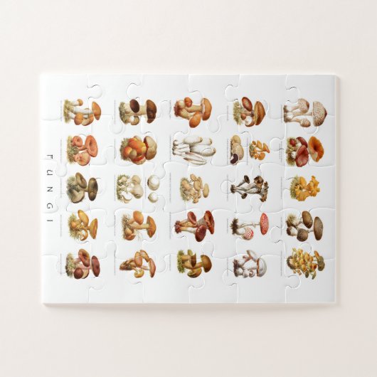 illustratie eetbare niet-eetbare paddenstoelen legpuzzel (Horizontaal)