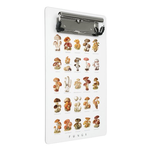 illustratie eetbare niet-eetbare paddenstoelen mini klembord (Schuin)