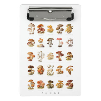  illustratie eetbare niet-eetbare paddenstoelen mini klembord