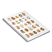 illustratie eetbare niet-eetbare paddenstoelen notitieboek (Rechterzijde)