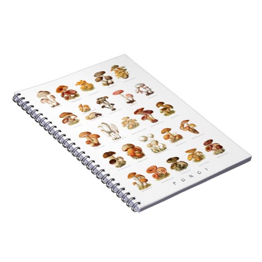 illustratie eetbare niet-eetbare paddenstoelen notitieboek (Rechterzijde)