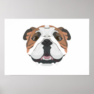 Illustratie Engelse Bulldog Poster